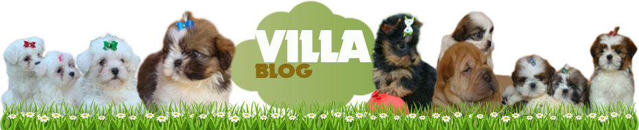 Criadero Villa
